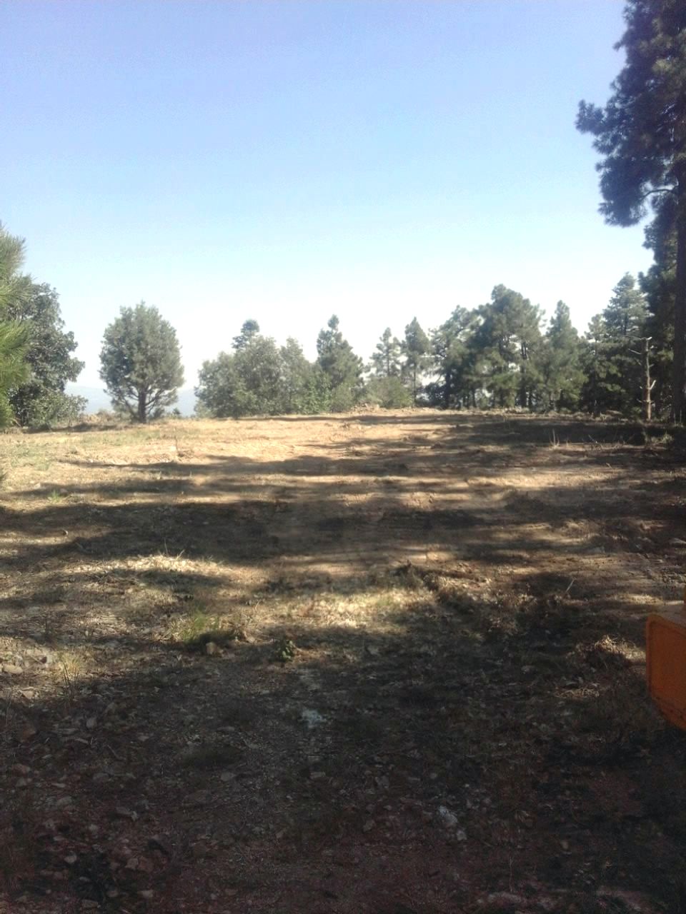 My PRESCOTT FOREST PROPERTY for SALE BY OWNER